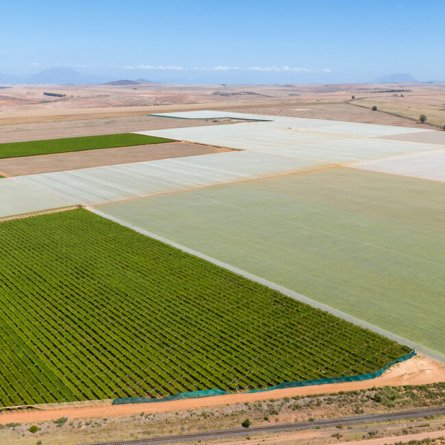 Sustainable Farming