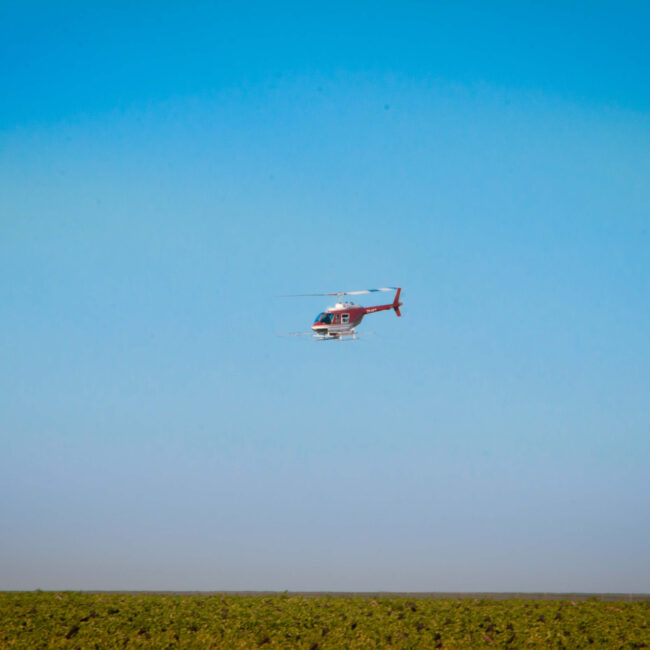 Pest control Kotze farms
